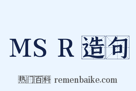 MSR造句是什么意思的图片